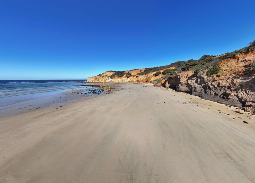 Addiscot Beach and Point Addis.