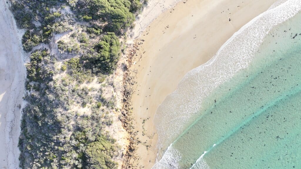 Aerial view of Point Roadnight beach from above showing golden sand, turquoise waters, white foam waves, coastal dunes with moonah and tea tree vegetation, and open ocean beach.